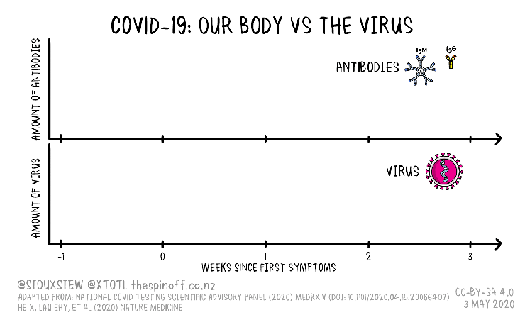 Covid-19-Time-Course-05